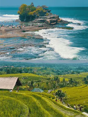 Jatiluwih fullday tour Tanahlot Fullday Tour baliwonderstour